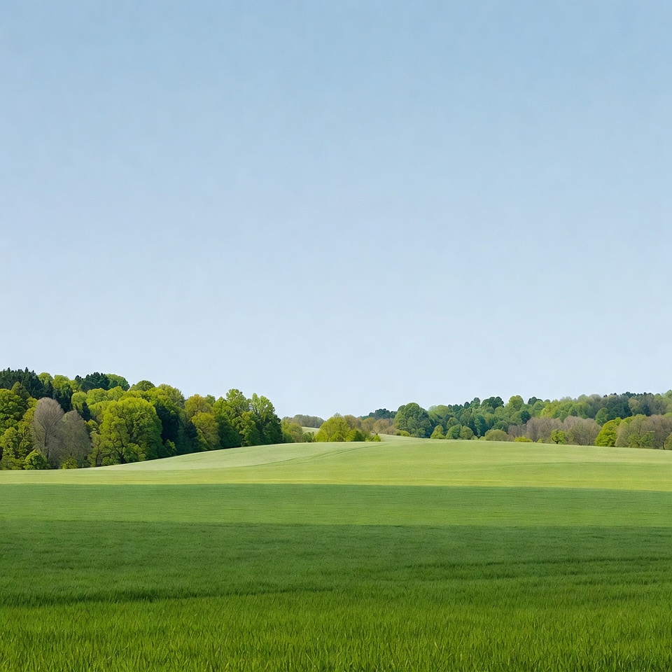 Green rolling fields under blue sky Green rolling fields under blue sky