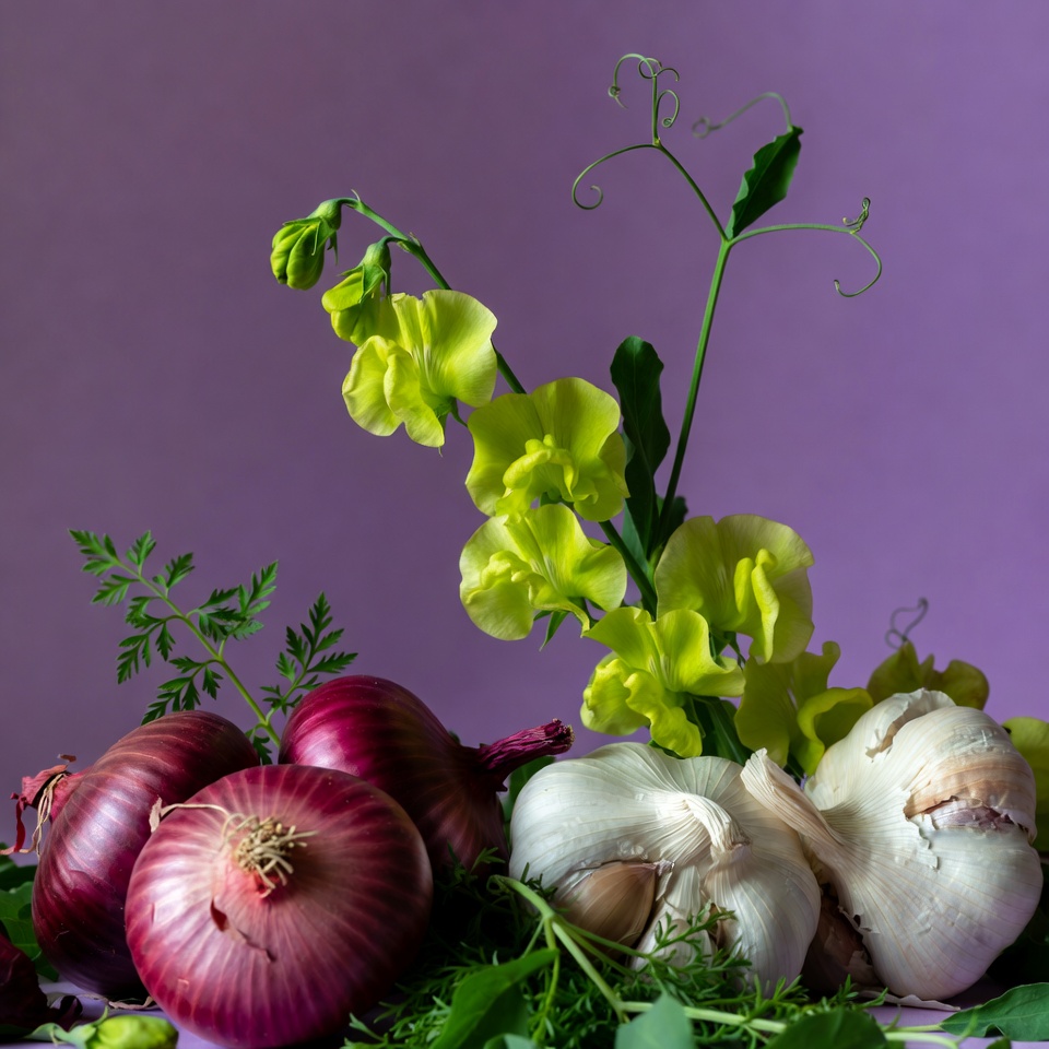 Red onions garlic parsley on purple Red onions garlic parsley on purple