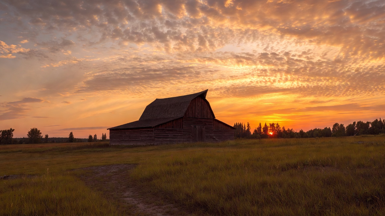 Red Barn at Sunset in Field Red Barn at Sunset in Field
