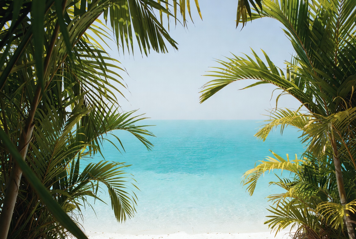 Palm trees framing turquoise beach Palm trees framing turquoise beach