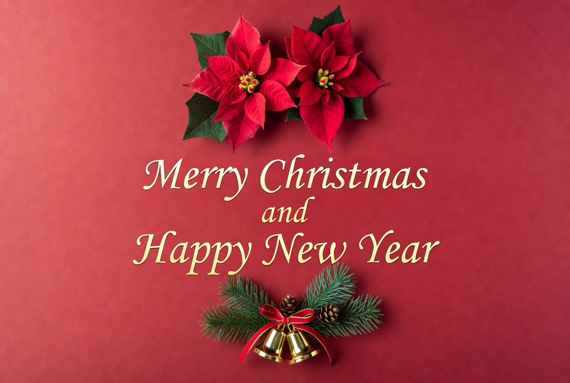 Merry Christmas Poinsettias and Bells Merry Christmas Poinsettias and Bells