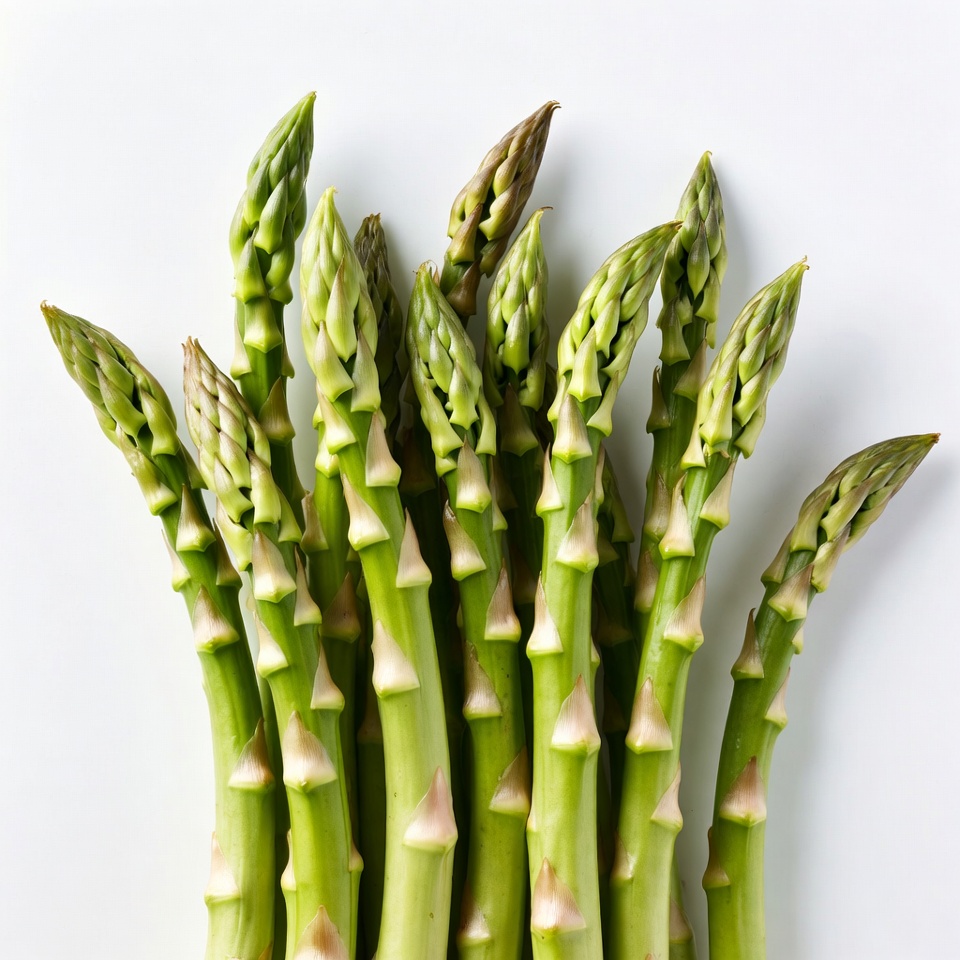 Fresh asparagus spears on white background Fresh asparagus spears on white background