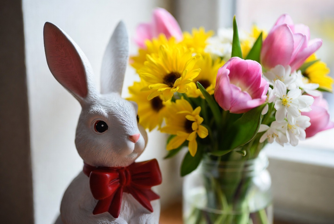 White bunny with colorful flowers White bunny with colorful flowers
