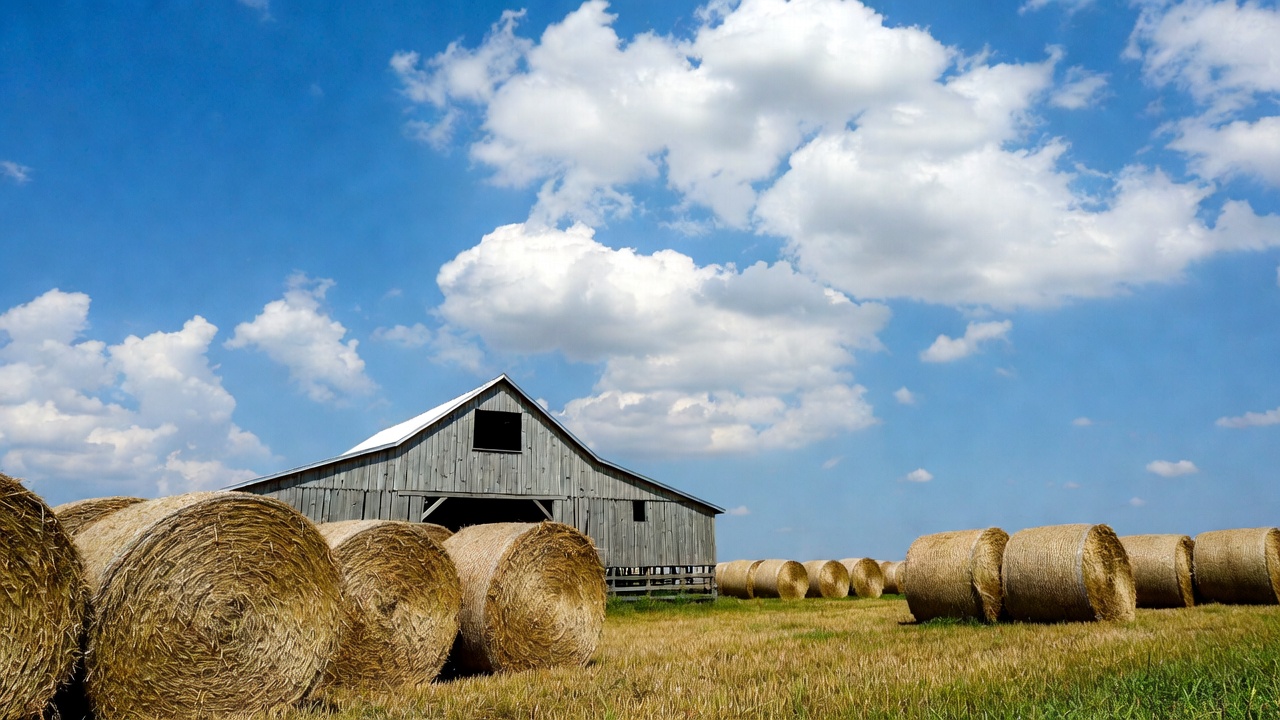 Hay Bales by Old Barn Hay Bales by Old Barn