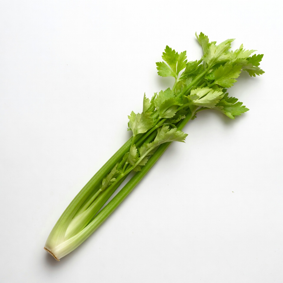 Fresh Celery Stalks on White Background Fresh Celery Stalks on White Background