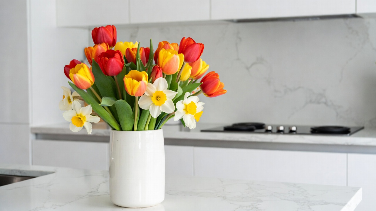 Red and Yellow Tulips in White Vase Red and Yellow Tulips in White Vase