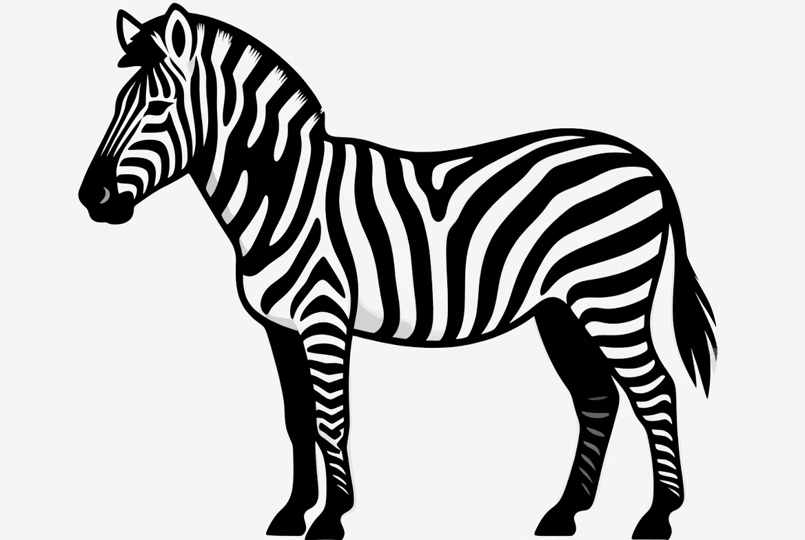 Black and white zebra illustration Black and white zebra illustration