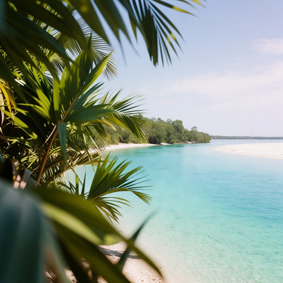 Tropical Beach with Palm Fronds Tropical Beach with Palm Fronds