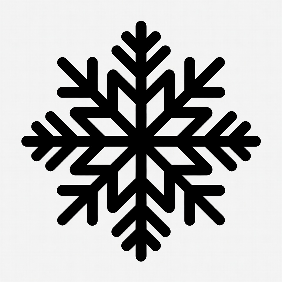 Black snowflake icon Black snowflake icon