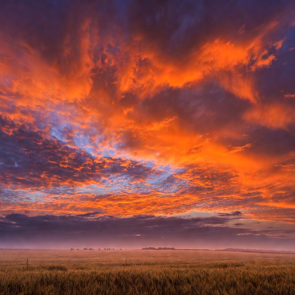 Vibrant Sunset Over Wheat Field Vibrant Sunset Over Wheat Field