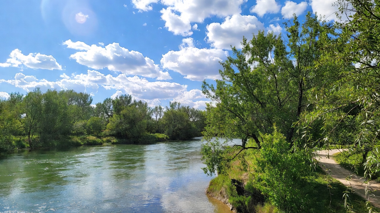 Green River with Trees and Blue Sky Green River with Trees and Blue Sky