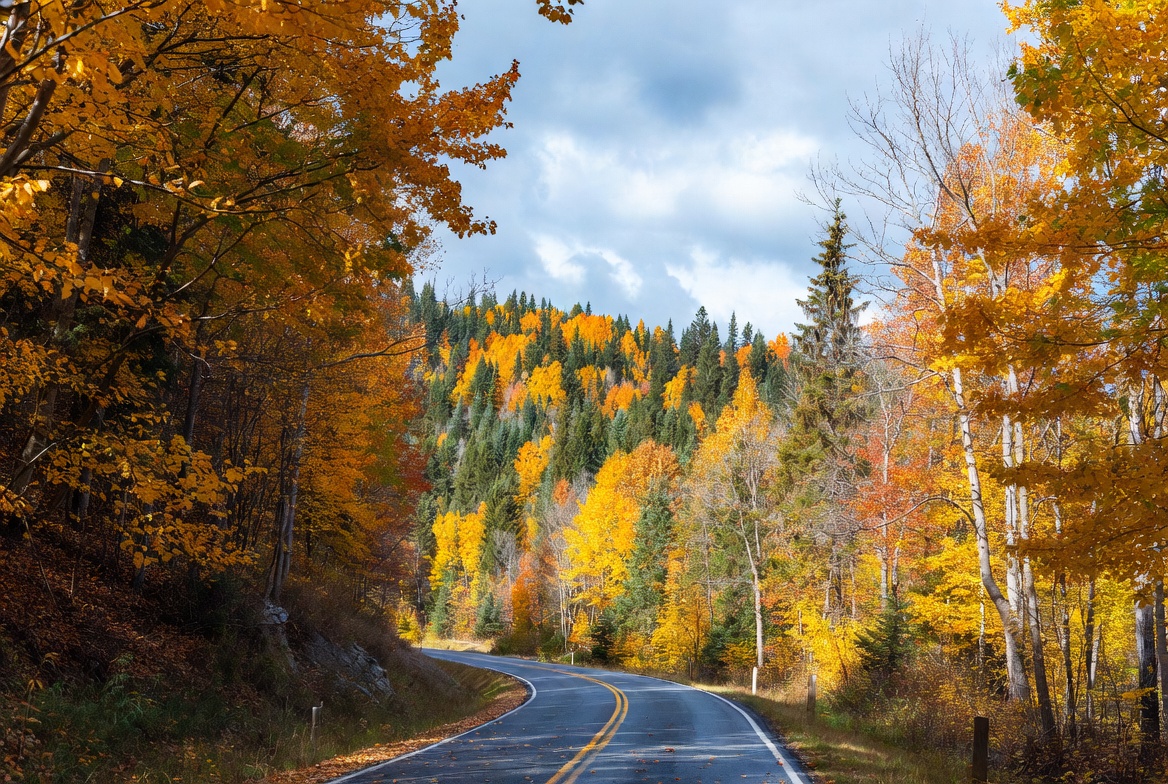 Winding road through autumn forest Winding road through autumn forest