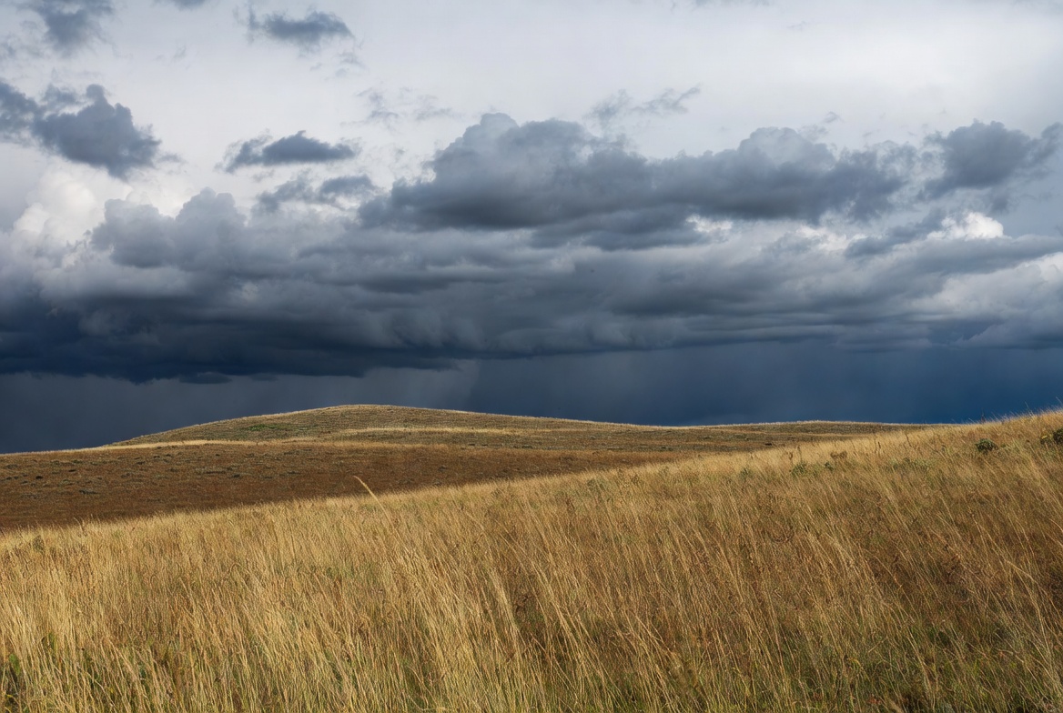 Stormy Clouds Over Golden Grassland Stormy Clouds Over Golden Grassland