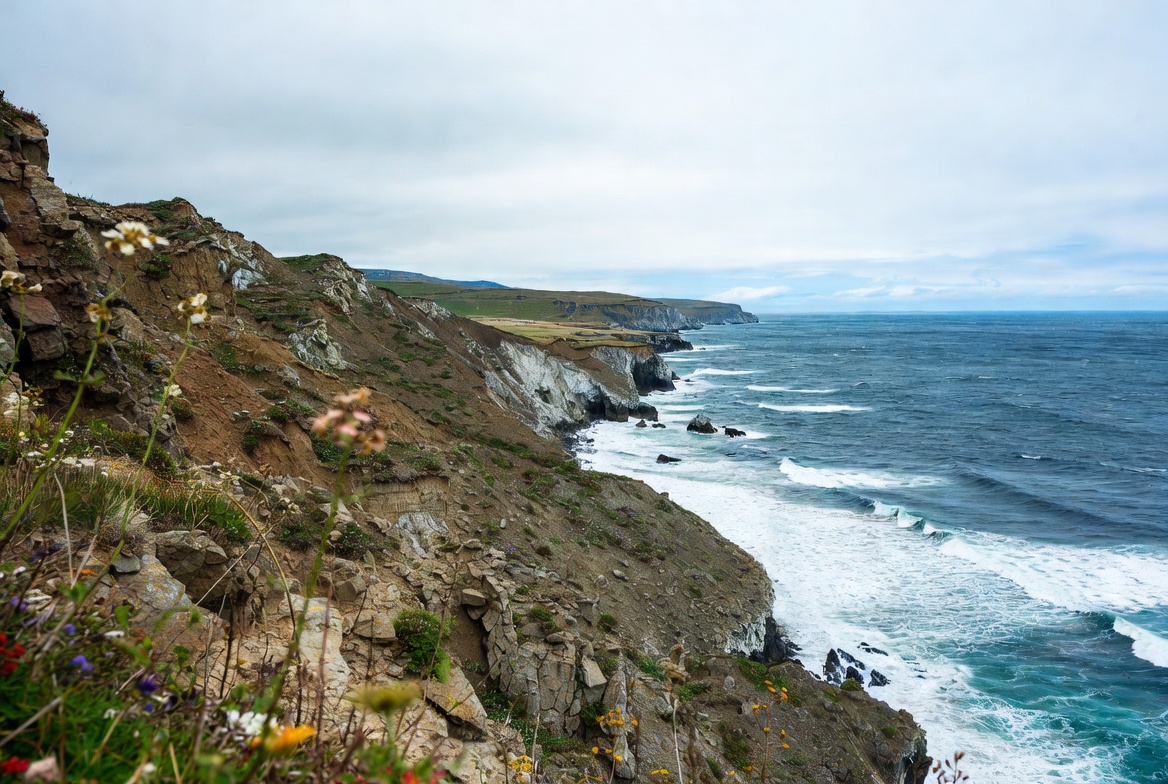 Ocean Cliff with Wildflowers and Waves Ocean Cliff with Wildflowers and Waves