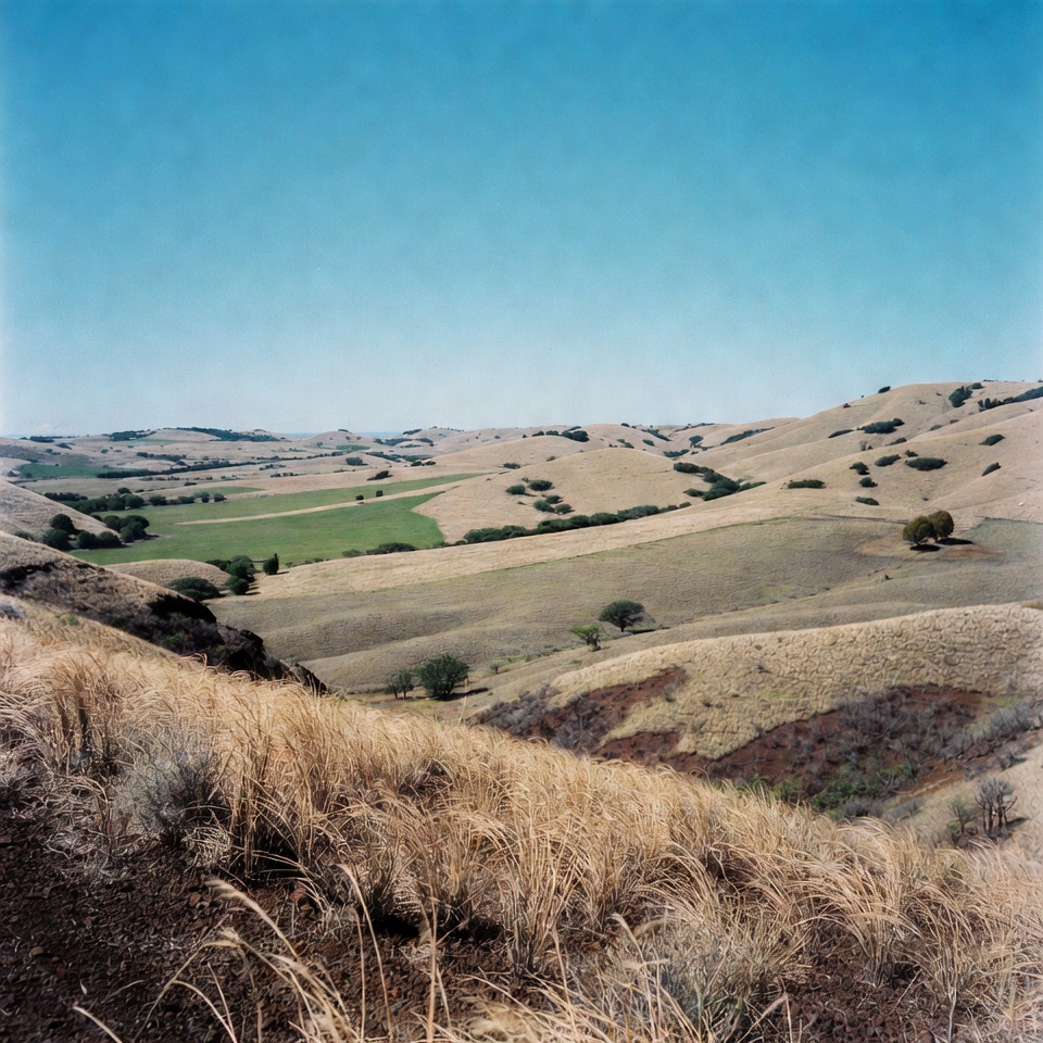 Rolling Hills Landscape with Green Fields Rolling Hills Landscape with Green Fields