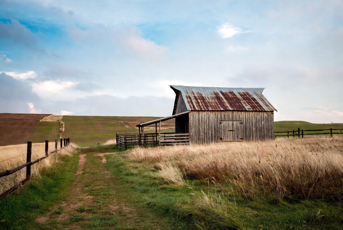 Rustic Barn with Corrugated Roof in Field Rustic Barn with Corrugated Roof in Field