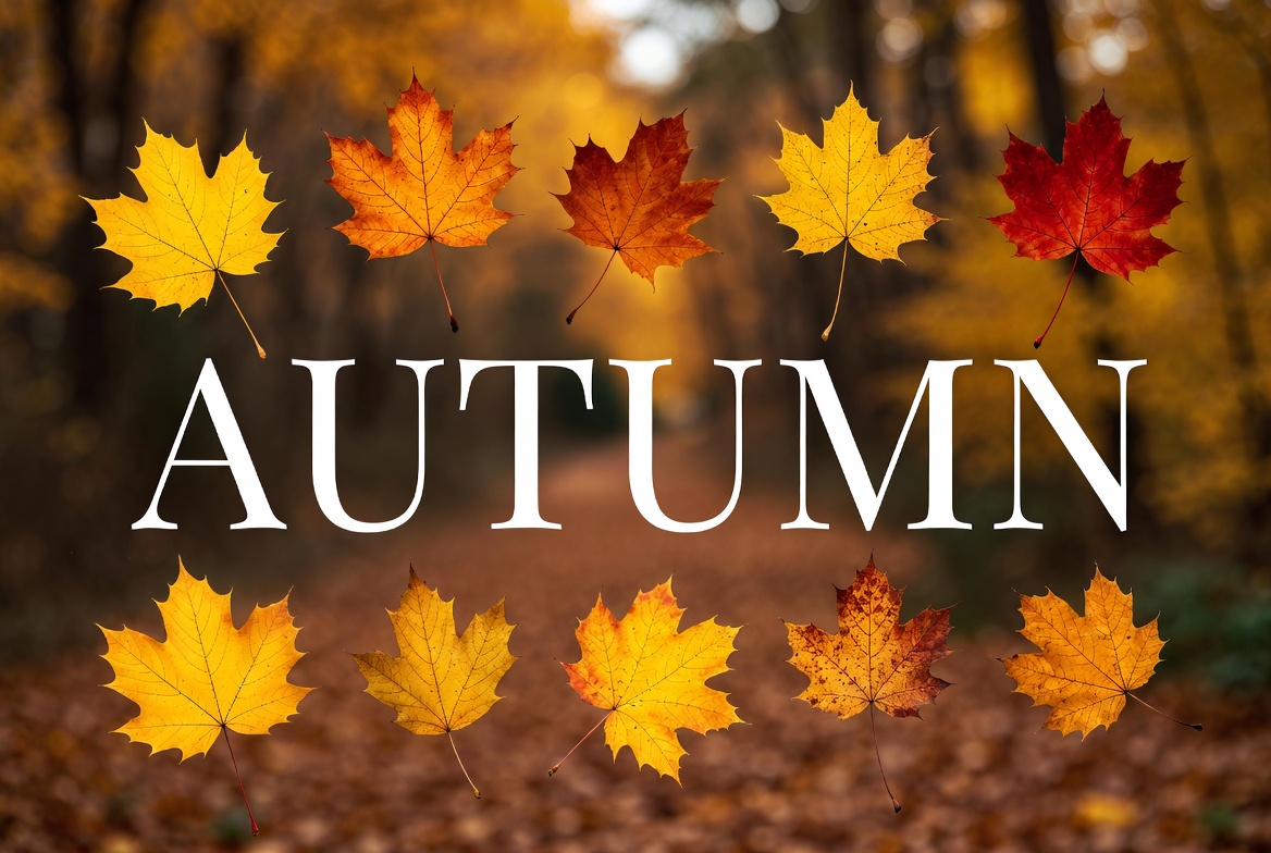 Autumn Leaves with Text Overlay Autumn Leaves with Text Overlay