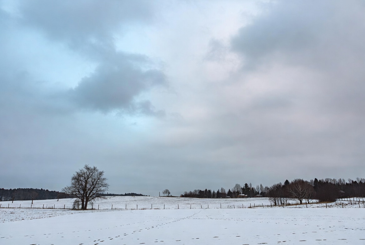 Snowy field with trees and fence Snowy field with trees and fence