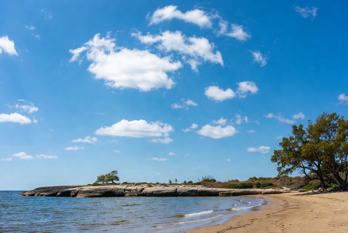 Sandy Beach with Rocky Cliff and Trees Sandy Beach with Rocky Cliff and Trees