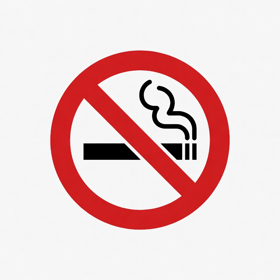 No Smoking Sign No Smoking Sign