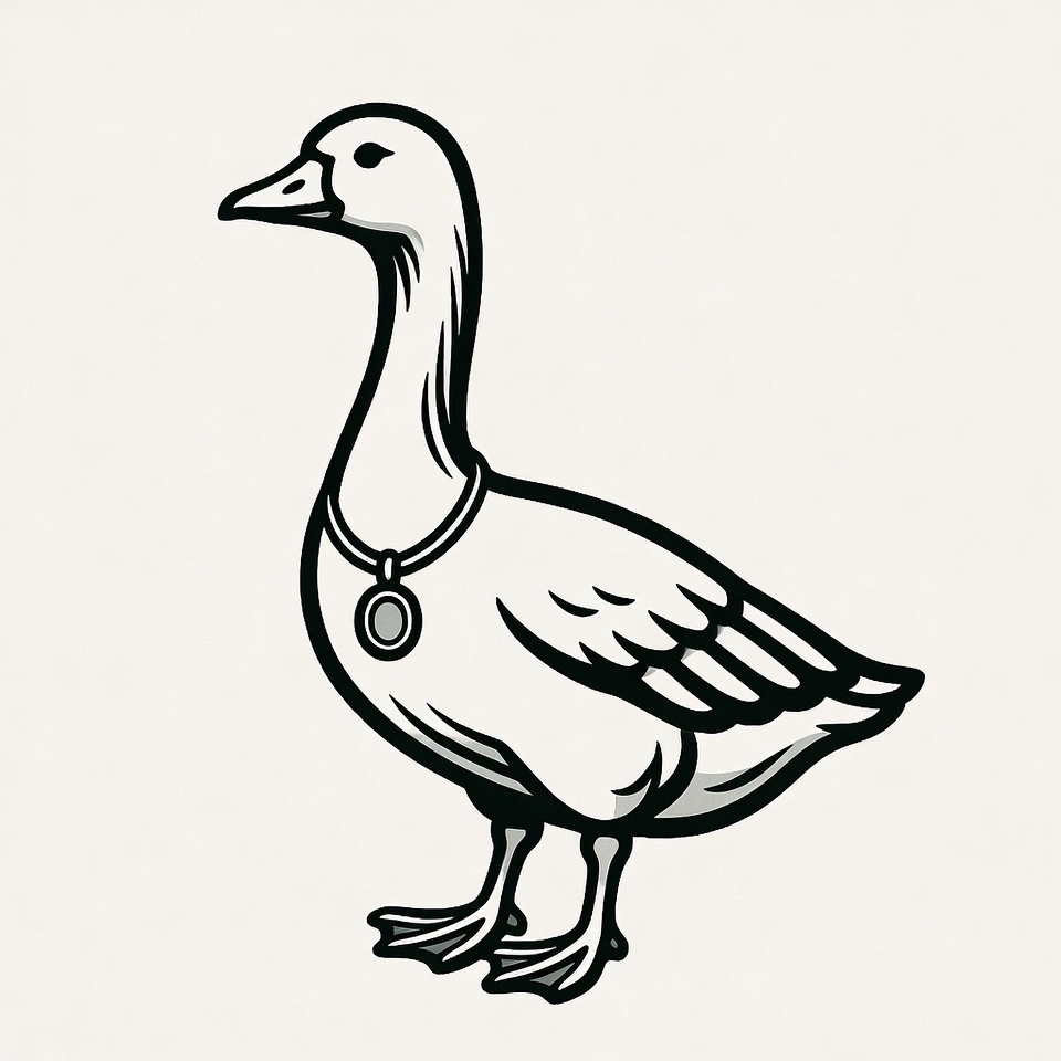 White Goose Wearing Collar White Goose Wearing Collar