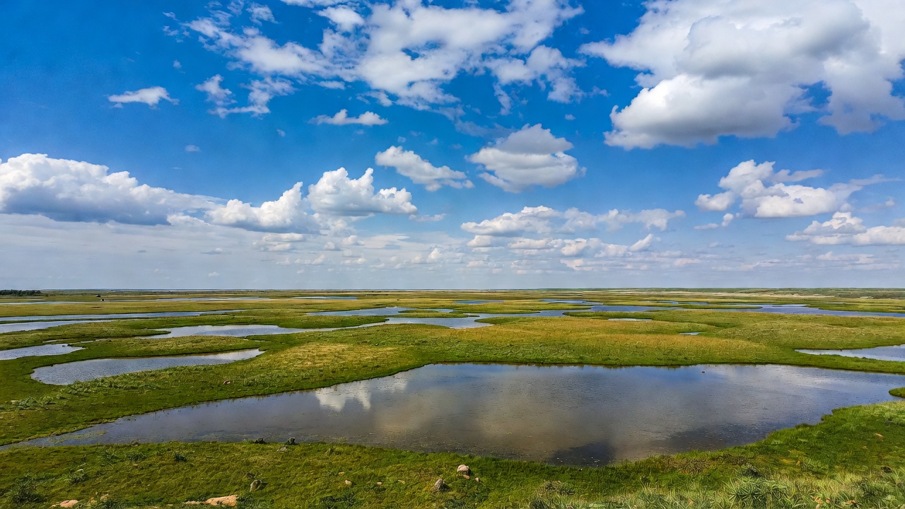 Vast Green Marshland with Ponds Vast Green Marshland with Ponds