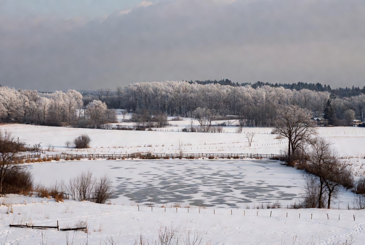 Winter Landscape with Frosty Trees and Pond Winter Landscape with Frosty Trees and Pond