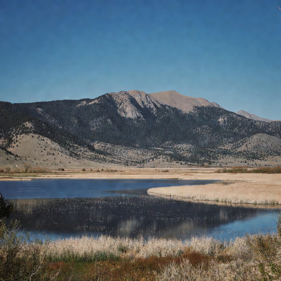 Mountain Lake with Reeds Mountain Lake with Reeds