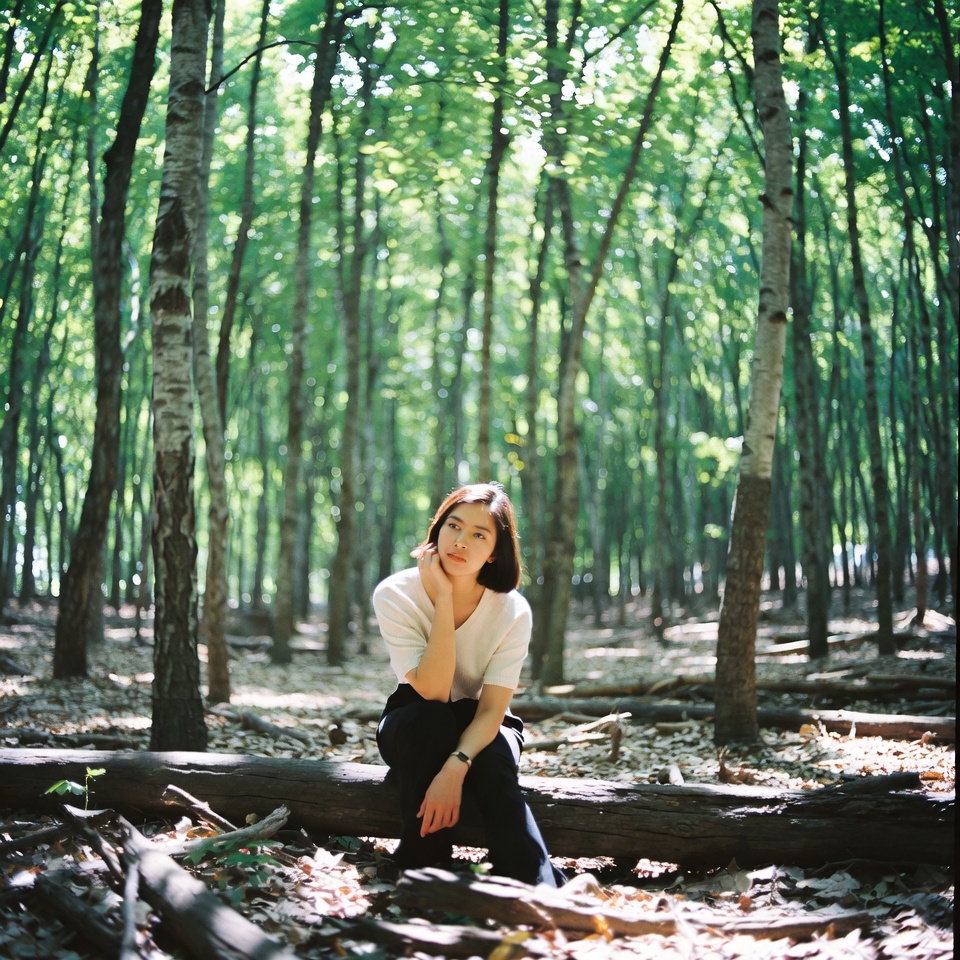 Asian woman sitting on log in birch forest Asian woman sitting on log in birch forest