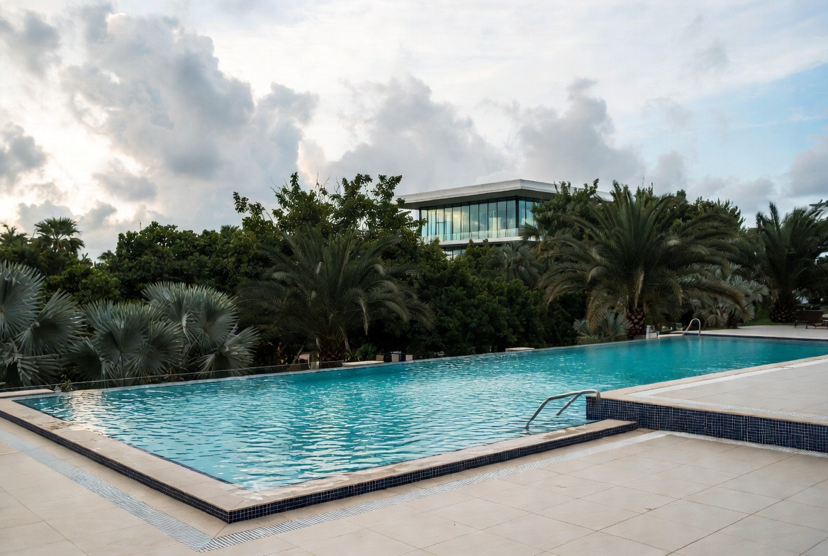 Infinity Pool with Palm Trees and Modern House Infinity Pool with Palm Trees and Modern House