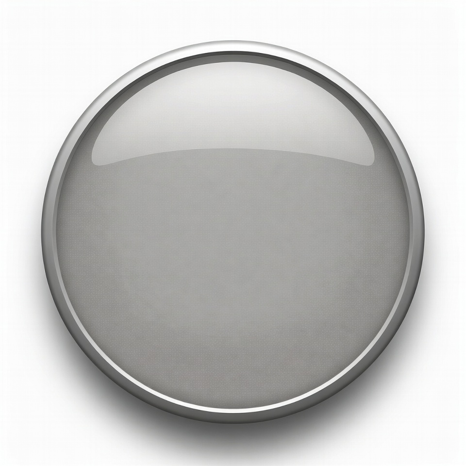 Shiny Silver Gray Button Shiny Silver Gray Button