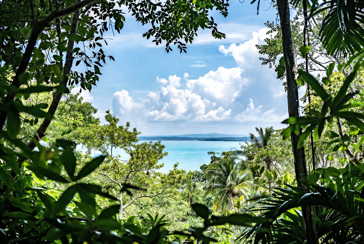Jungle Frame Overlooking Turquoise Ocean Jungle Frame Overlooking Turquoise Ocean