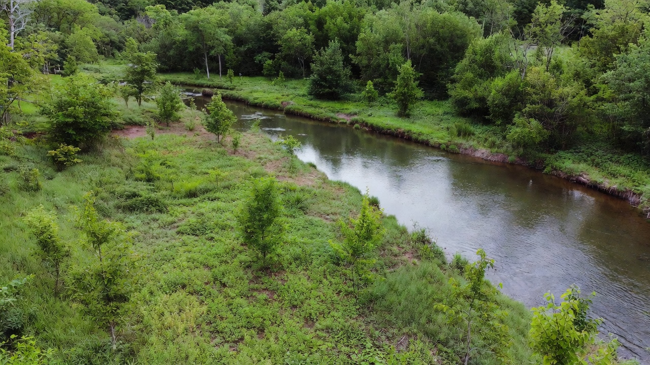 Serene river flowing through green forest Serene river flowing through green forest