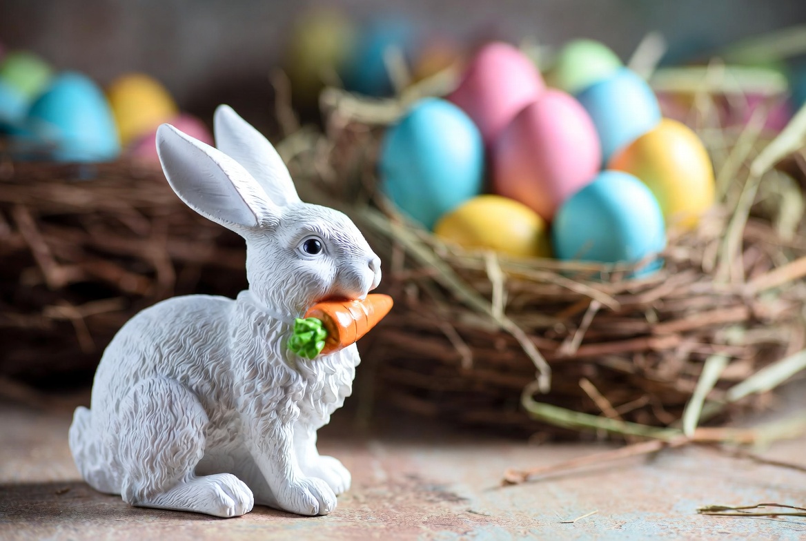 White bunny eating carrot with Easter eggs White bunny eating carrot with Easter eggs