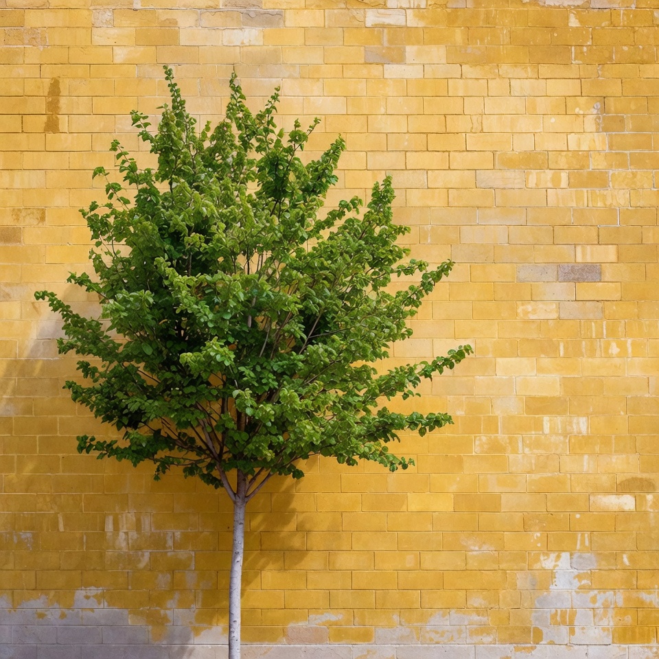 Green tree against yellow brick wall Green tree against yellow brick wall