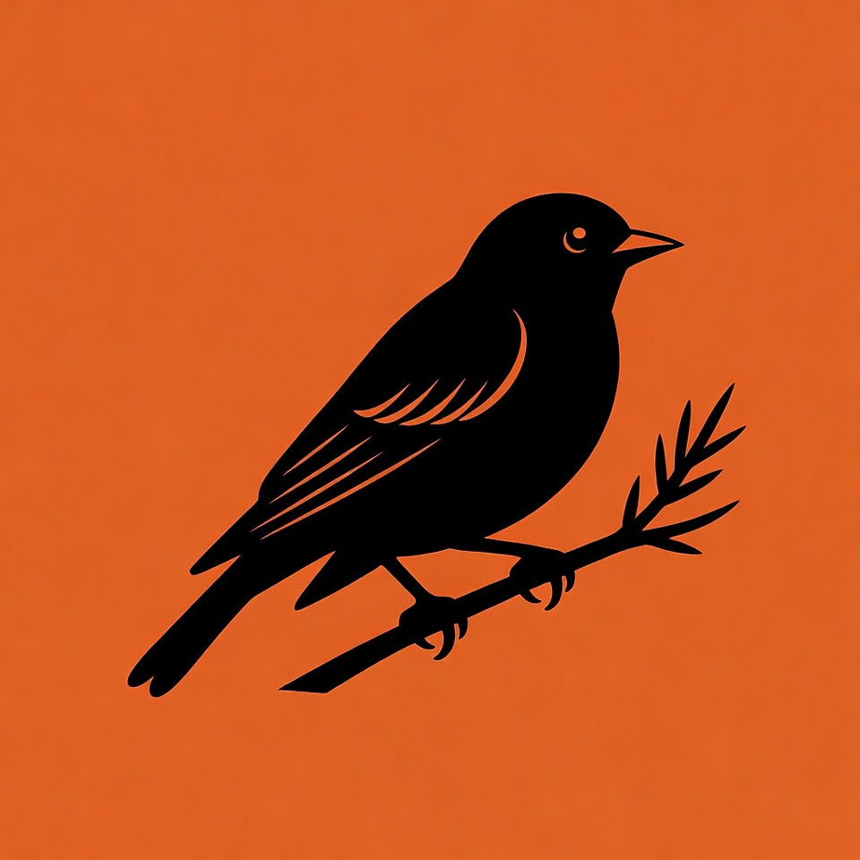 Black Oriole Bird on Branch Silhouette Black Oriole Bird on Branch Silhouette