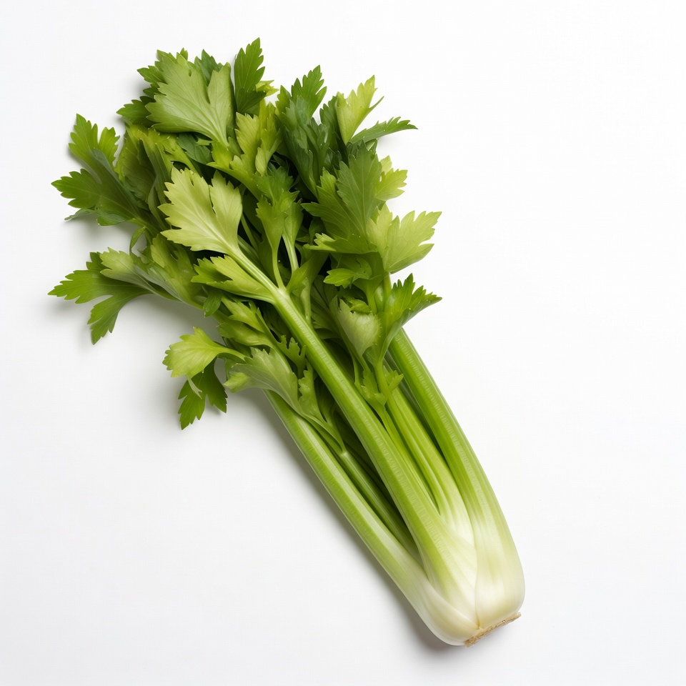 Fresh Celery Stalks on White Background Fresh Celery Stalks on White Background