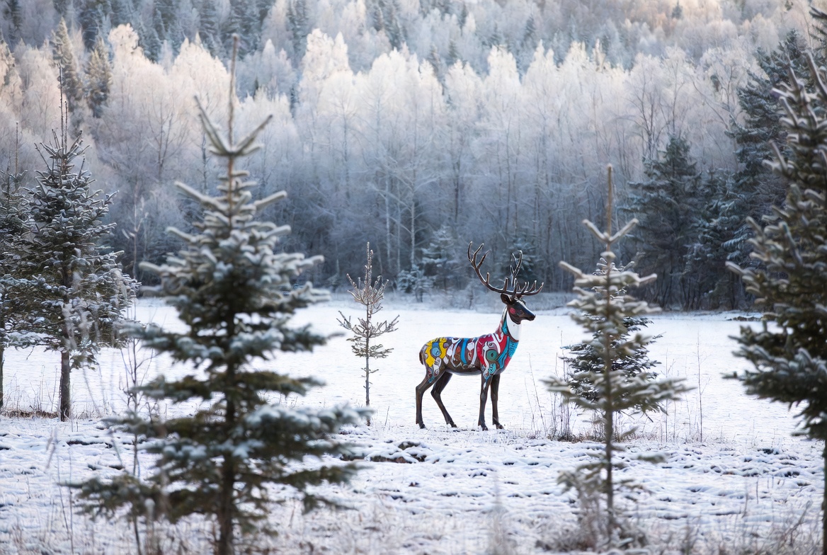 Colorful Painted Reindeer in Snowy Forest Colorful Painted Reindeer in Snowy Forest