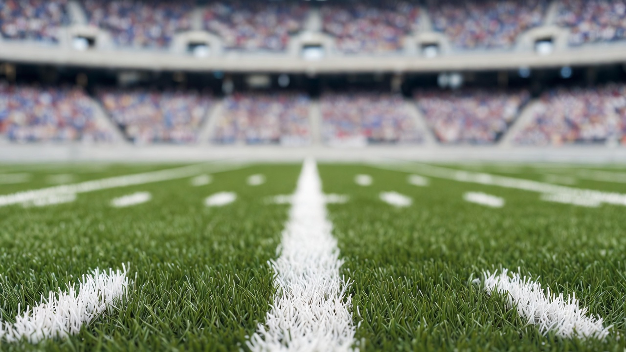 Football Field Stadium Crowd Football Field Stadium Crowd