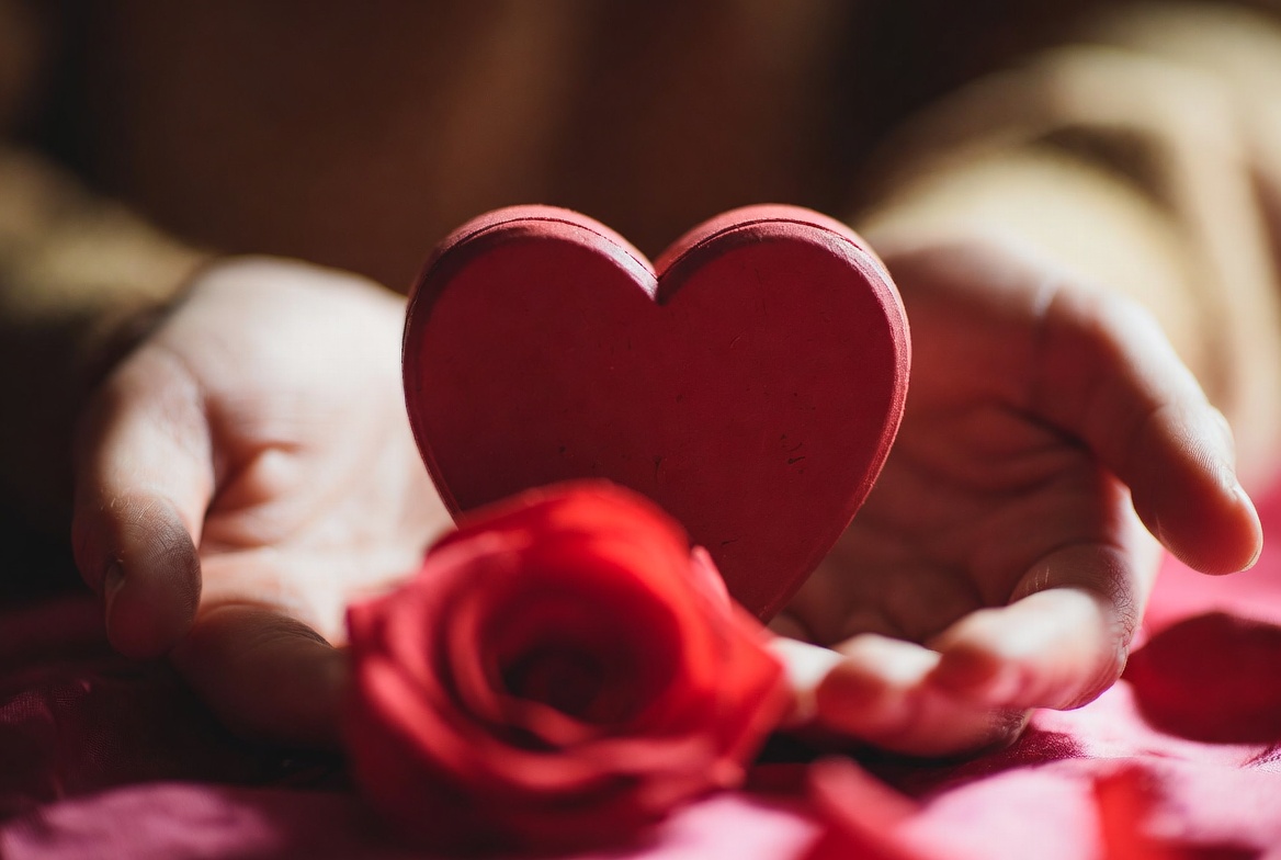 Hands Holding Red Wooden Heart and Rose Hands Holding Red Wooden Heart and Rose