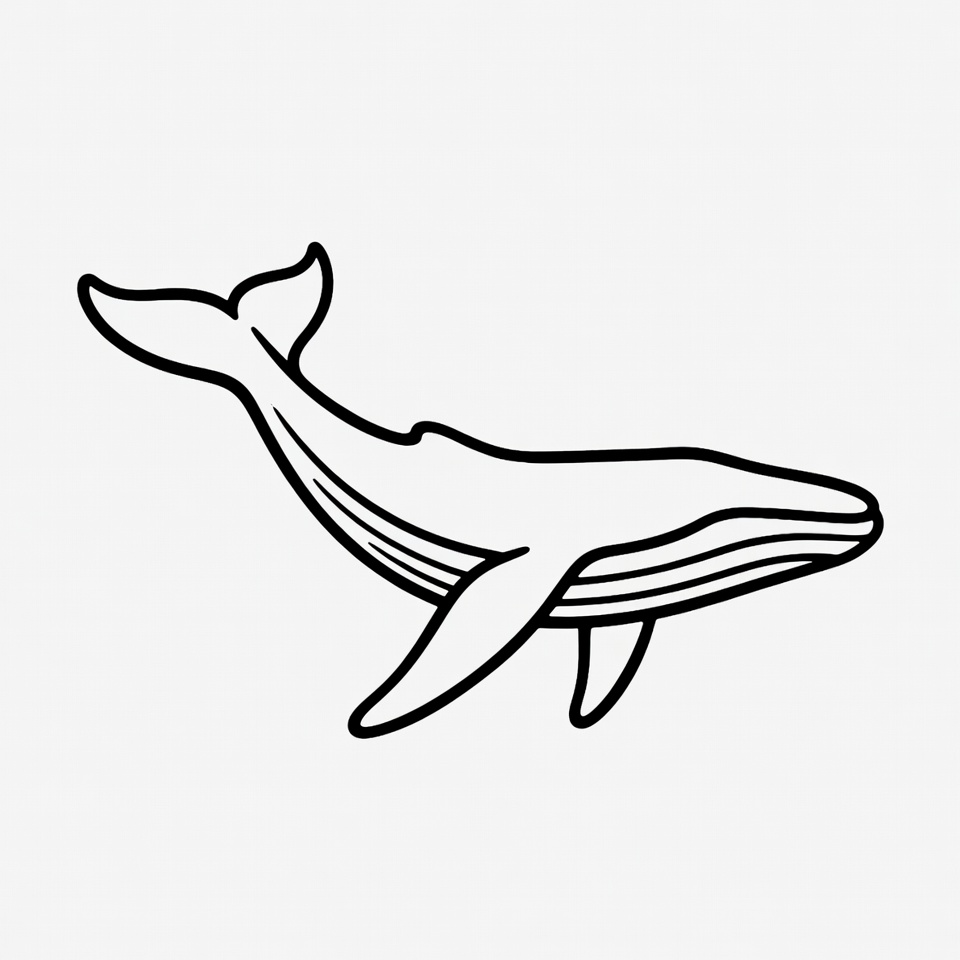 Humpback Whale Line Art Humpback Whale Line Art