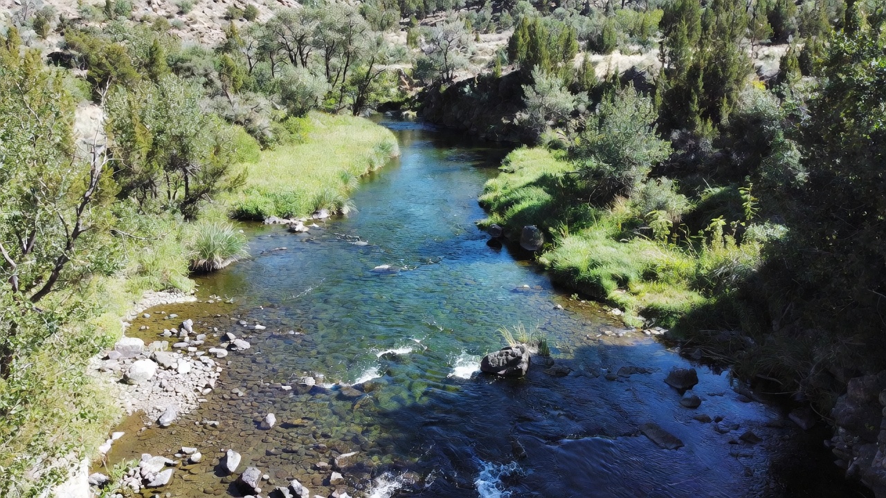 River flowing through forested canyon River flowing through forested canyon