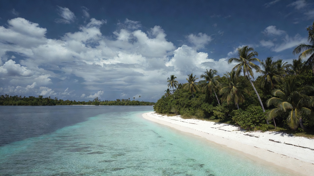 Tropical beach with turquoise water Tropical beach with turquoise water