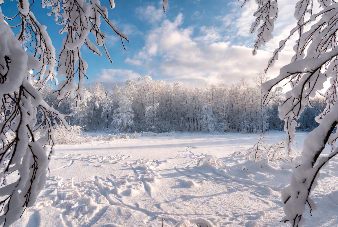 Snowy Forest with Frozen Lake Snowy Forest with Frozen Lake