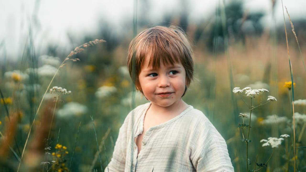 Toddler boy in wildflower field Toddler boy in wildflower field