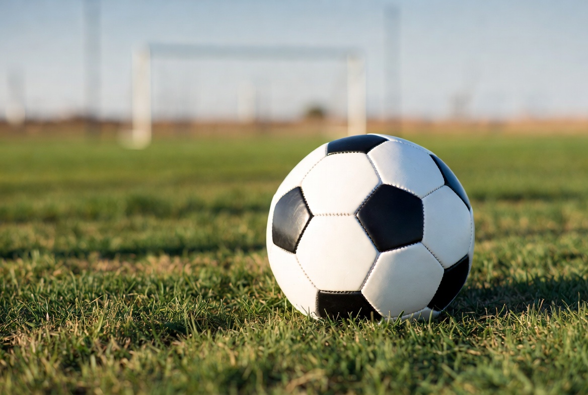 Soccer Ball in Front of Goal Soccer Ball in Front of Goal