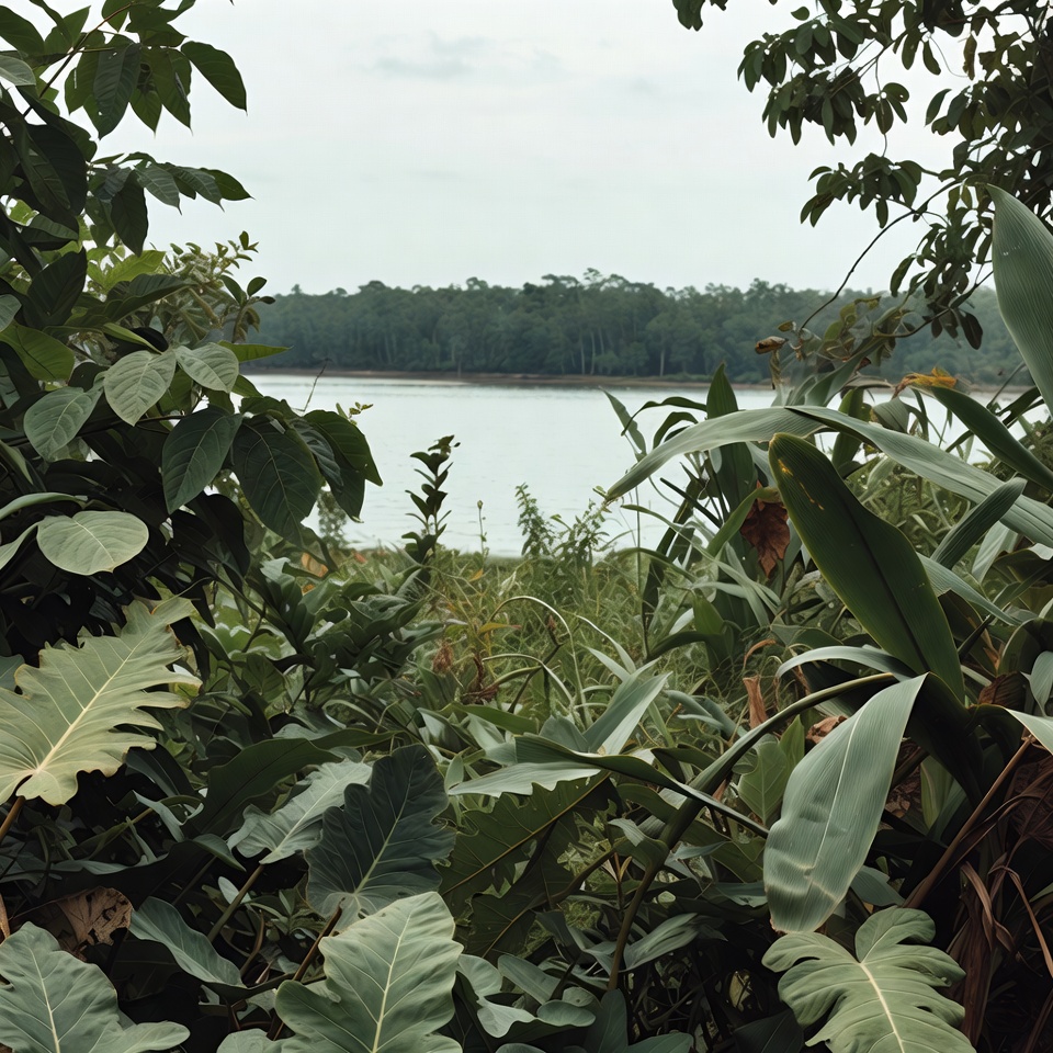 Jungle Lake Through Tropical Foliage Jungle Lake Through Tropical Foliage