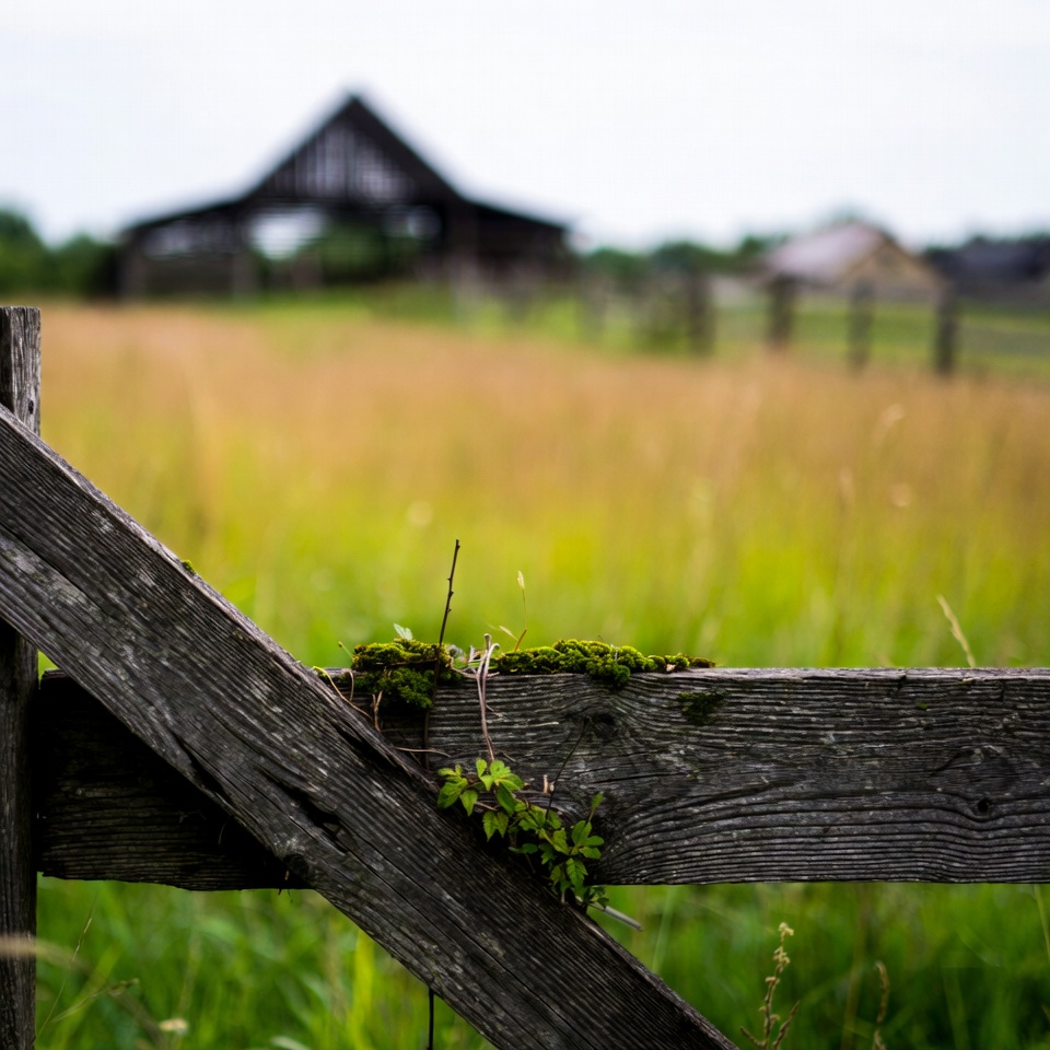 Mossy Wooden Fence with Barn Background Mossy Wooden Fence with Barn Background