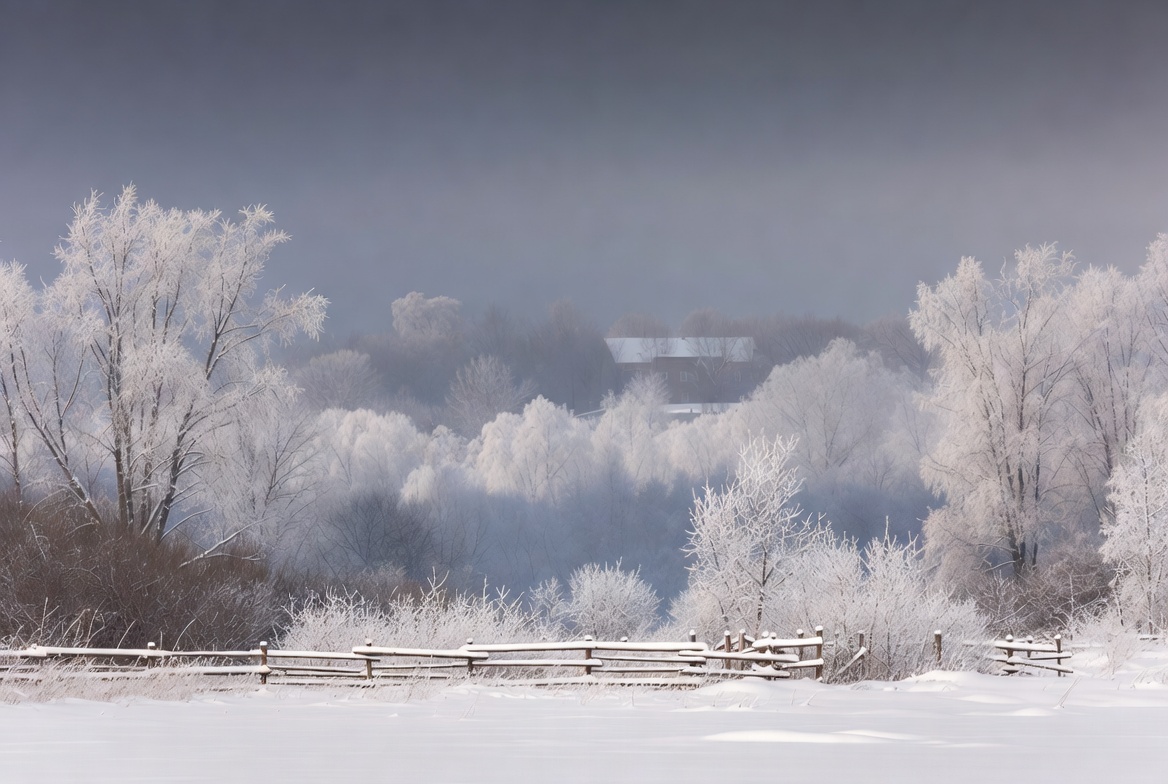 Snowy Trees and Wooden Fence Landscape Snowy Trees and Wooden Fence Landscape