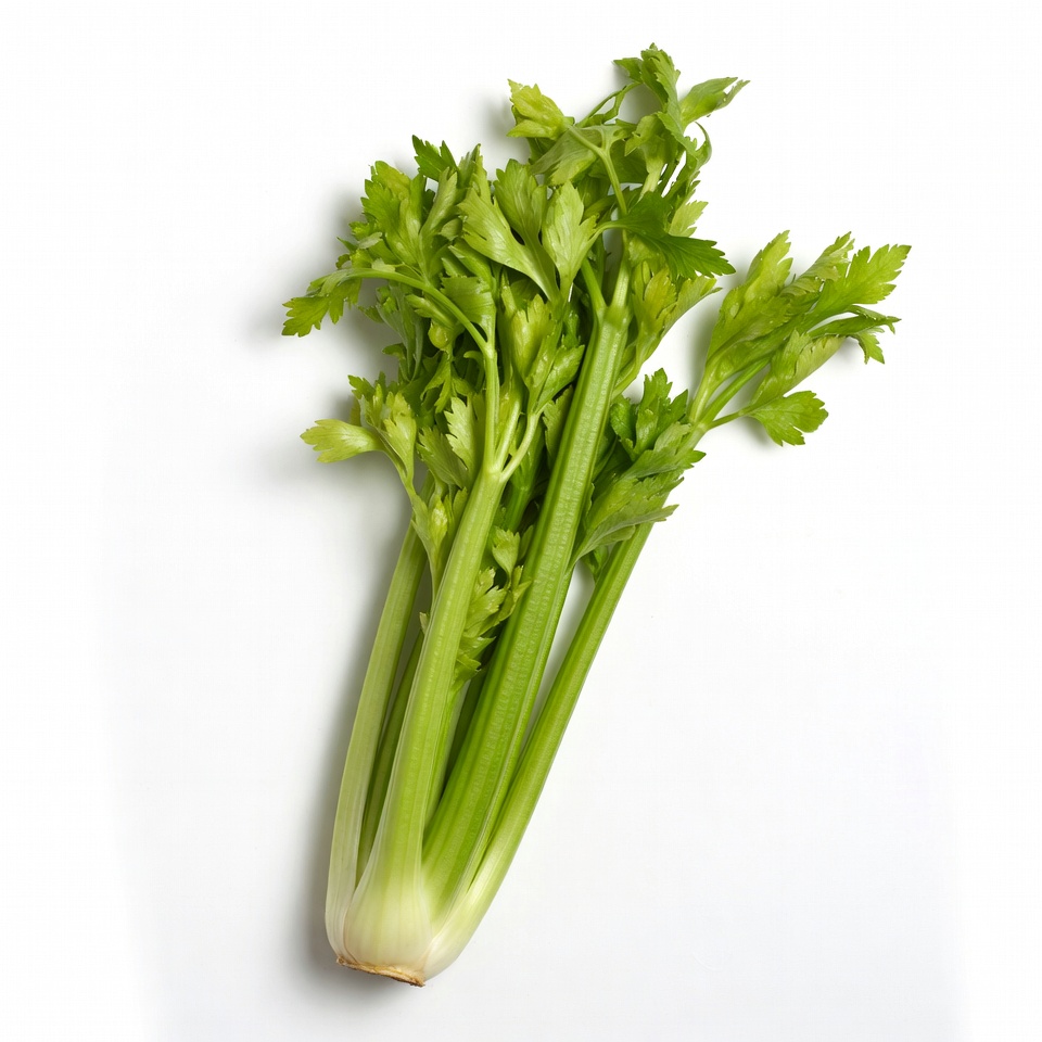 Fresh Celery Stalks on White Background Fresh Celery Stalks on White Background